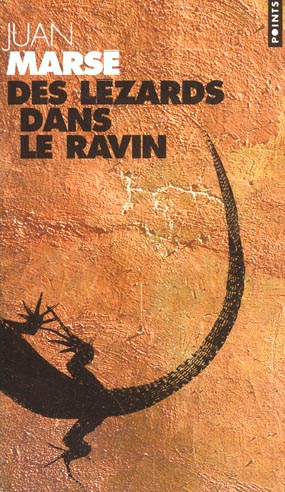 Des lézards dans le ravin - flash vidéo