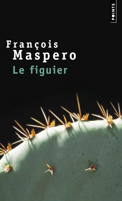 Le figuier
