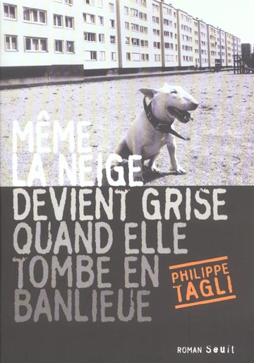 Même la neige devient grise quand elle tombe en banlieue
