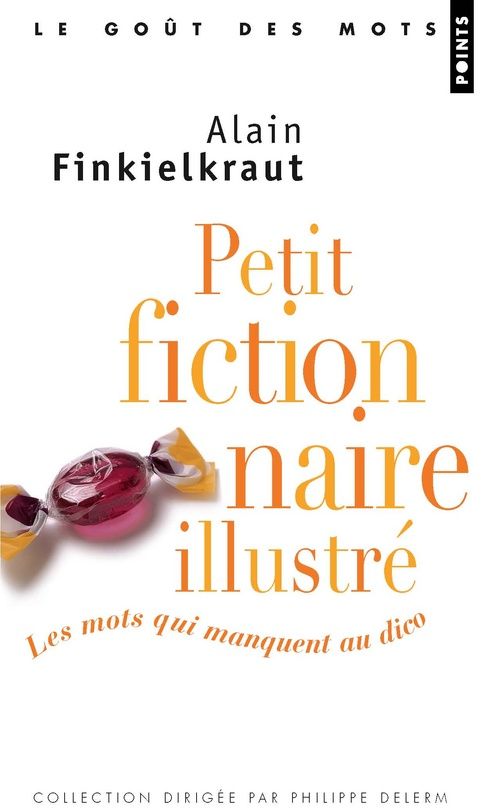 Petit fictionnaire illustré ; les mots qui manquent au dico - flash vidéo