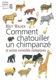 Comment chatouiller un chimpanzé ; et autres curiosités sociologiques - flash vidéo