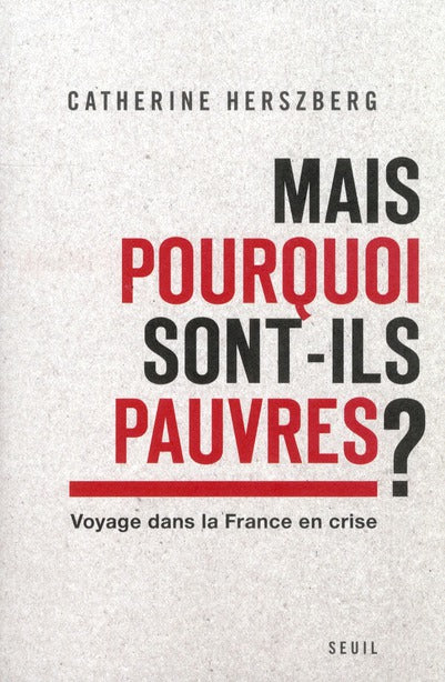 Mais pourquoi sont-ils pauvres ? ; voyage dans la France en crise
