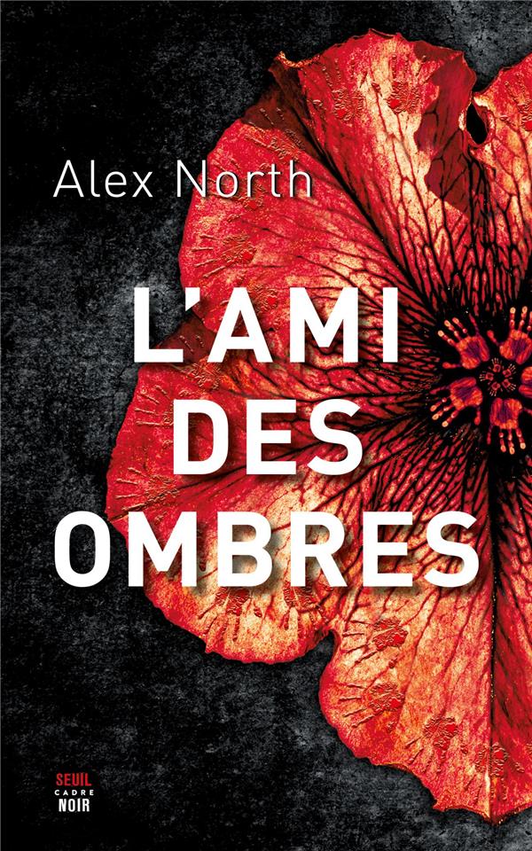 L'ami des ombres - flash vidéo