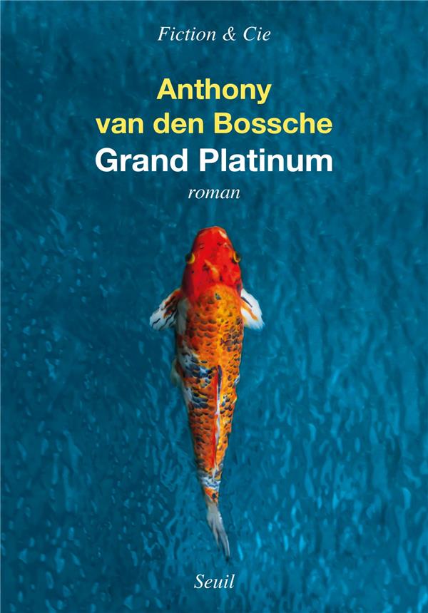 Grand Platinum - flash vidéo