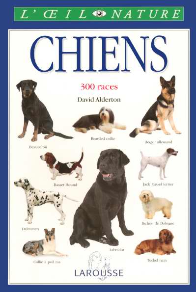 Chiens