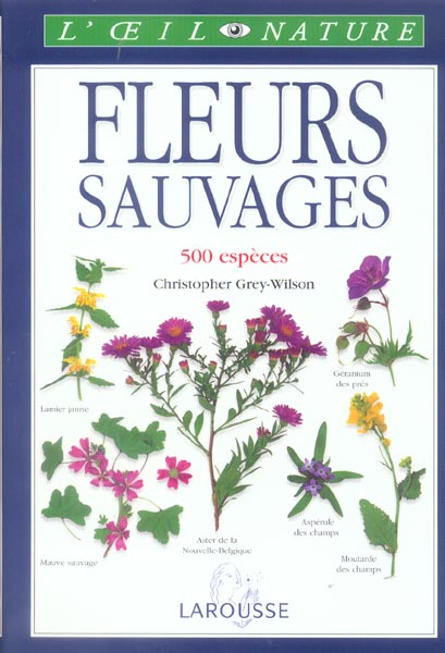 Fleurs sauvages