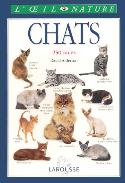 Chats