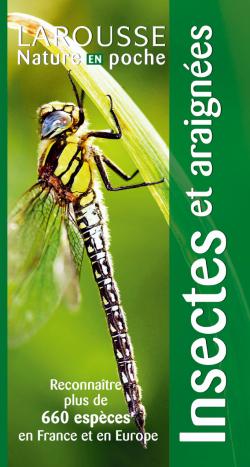 Insectes et araignees