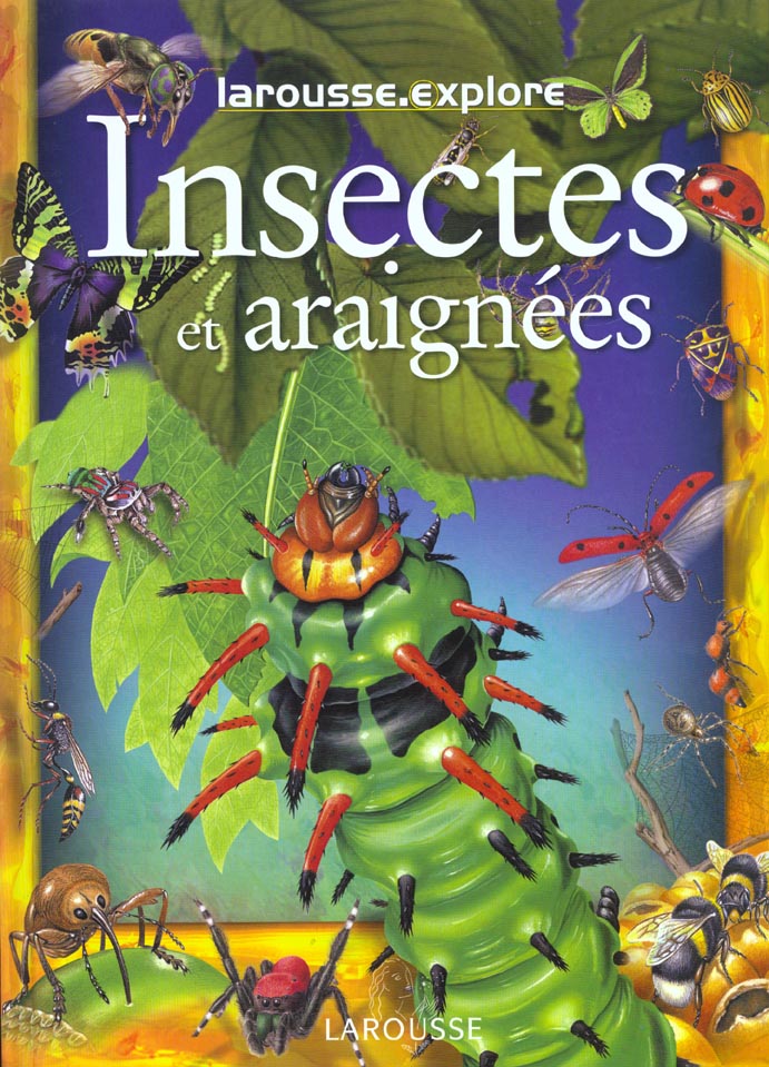 Les insectes et les araignees