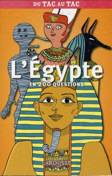L'égypte en 200 questions