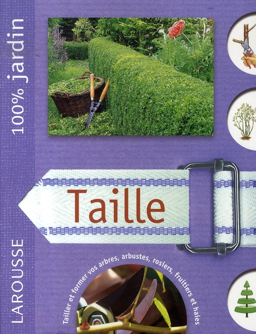 Taille