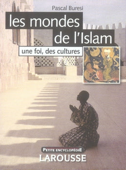 Les mondes de l'islam ; une foi, des cultures