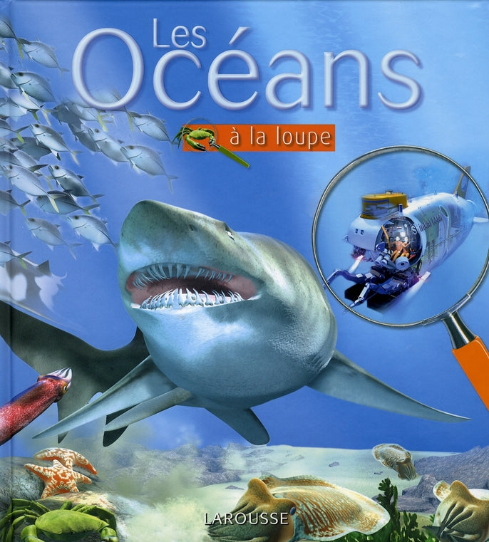 Les océans à la loupe
