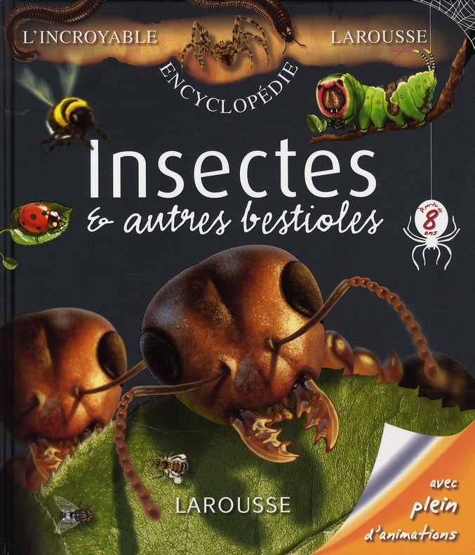 Insectes et autres bestioles