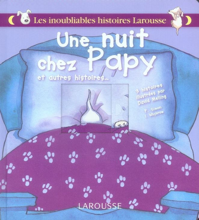 Une nuit chez papy et autres histoires