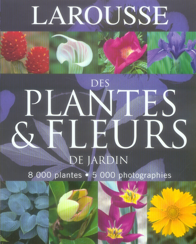 Larousse des plantes et fleurs de jardin