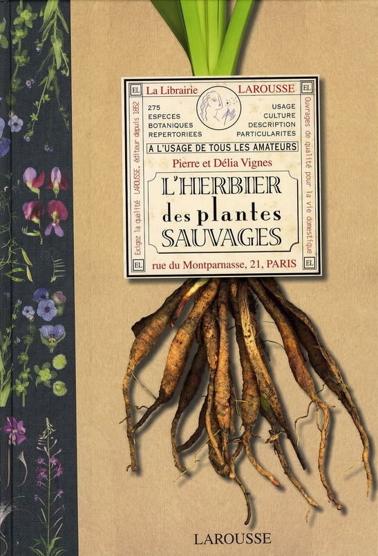 L'herbier des plantes sauvages