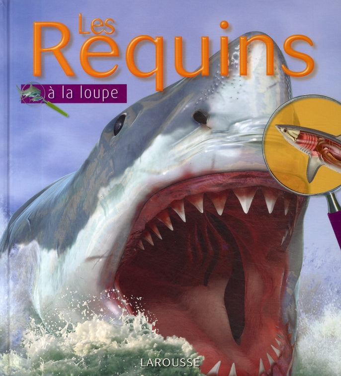 Les requins