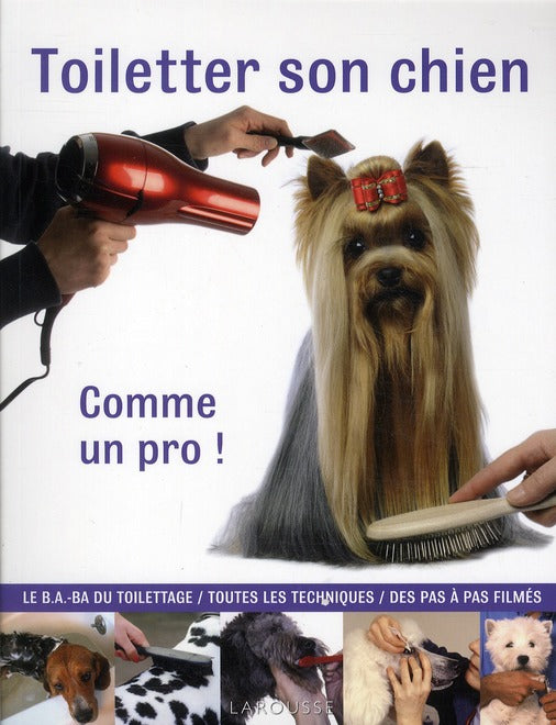 Toiletter son chien comme un pro