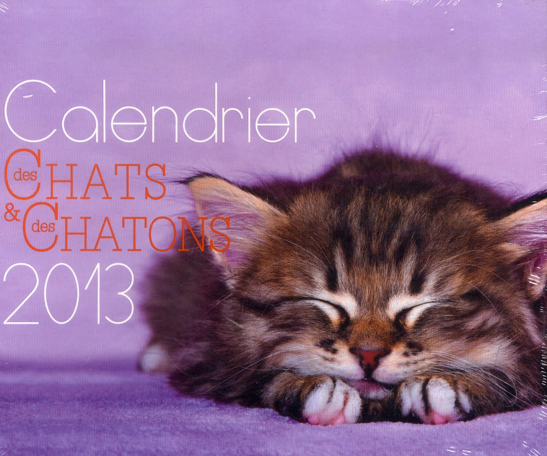 Calendrier des chats et des chatons 2013