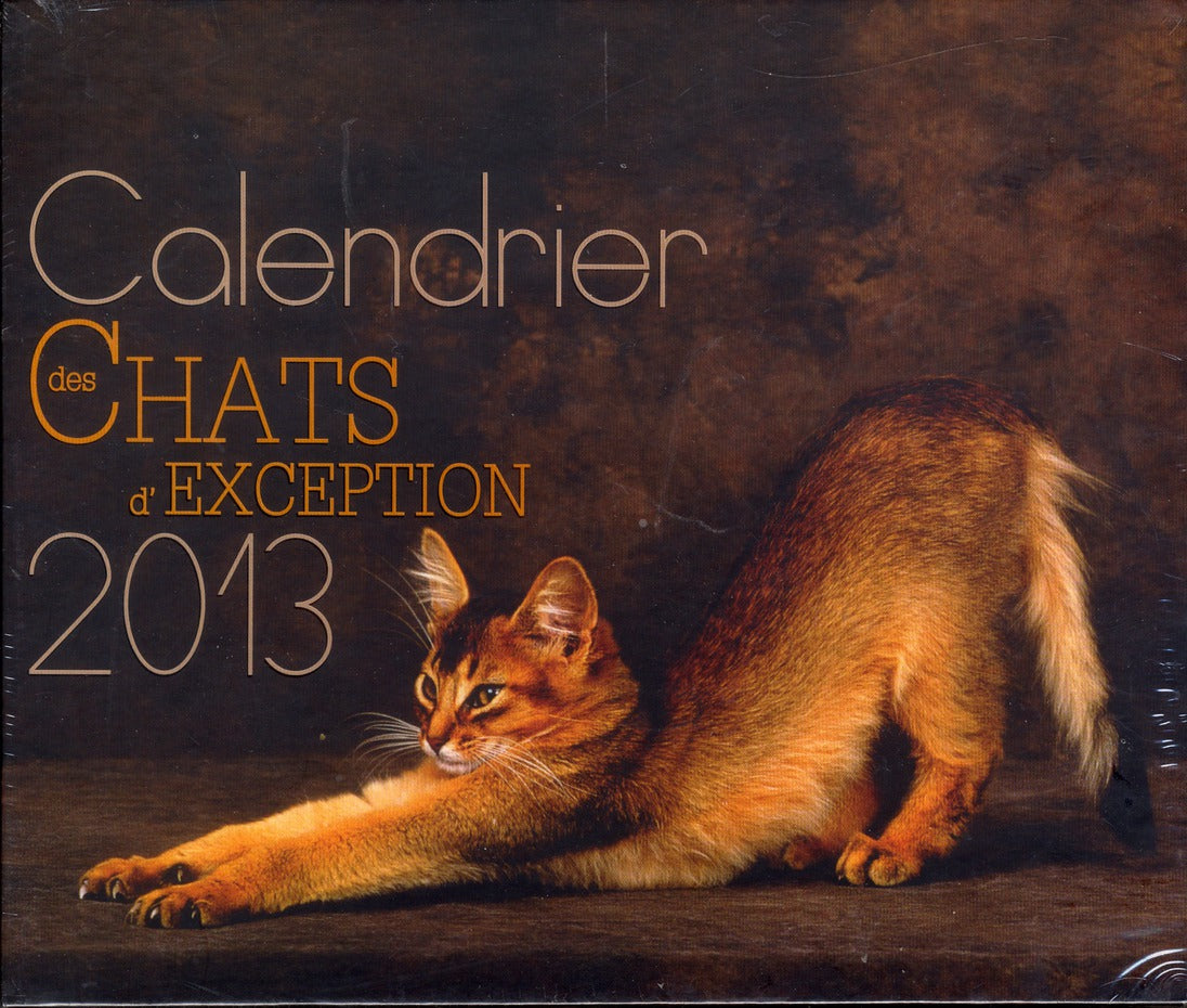 Calendrier des chats d'exception 2013