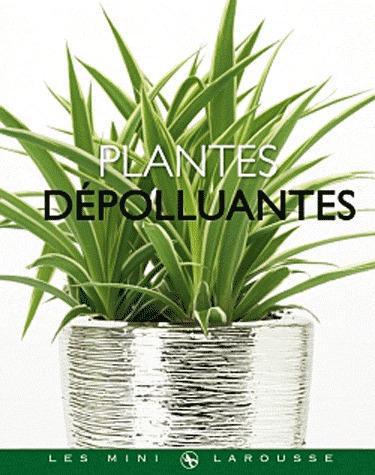Plantes dépolluantes