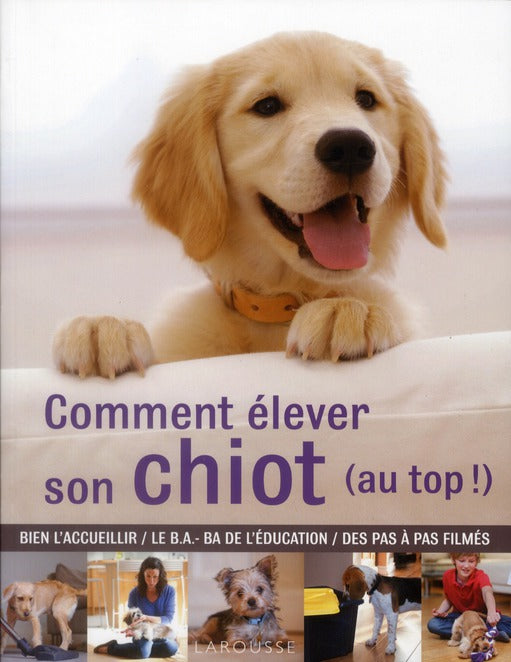 Comment elever son chiot (au top !)