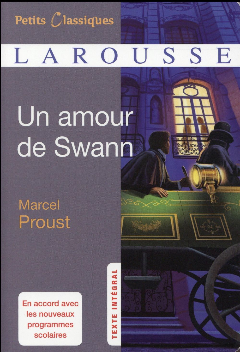 à la recherche du temps perdu : un amour de Swann