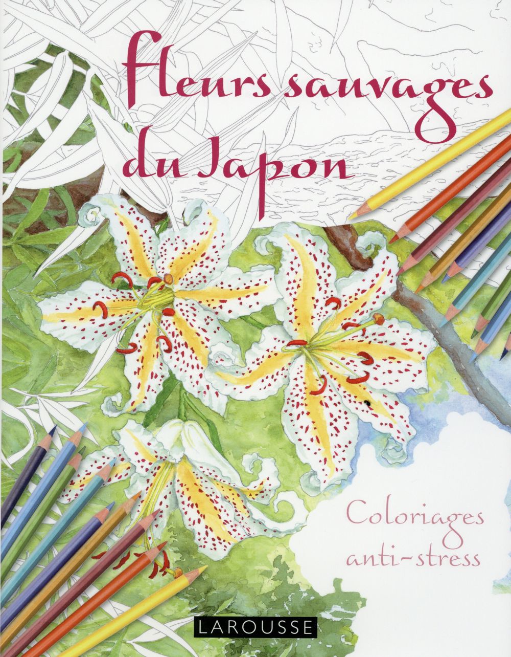 Fleurs sauvages du Japon ; coloriages anti-stress