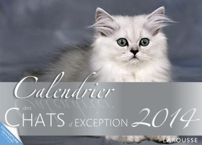 Calendrier des chats d'exception 2014