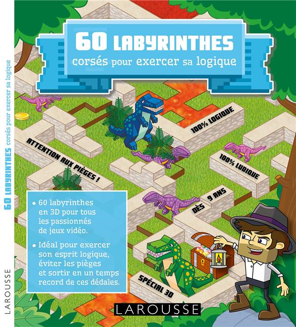 60 labyrinthes pour exercer sa logique