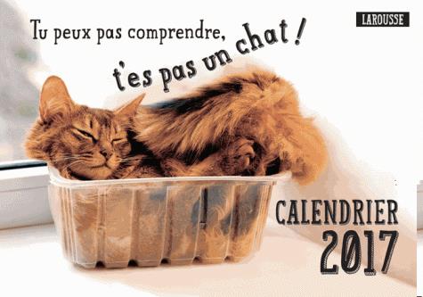 Calendrier 2017 tu peux pas comprendre, t'es pas un chat !