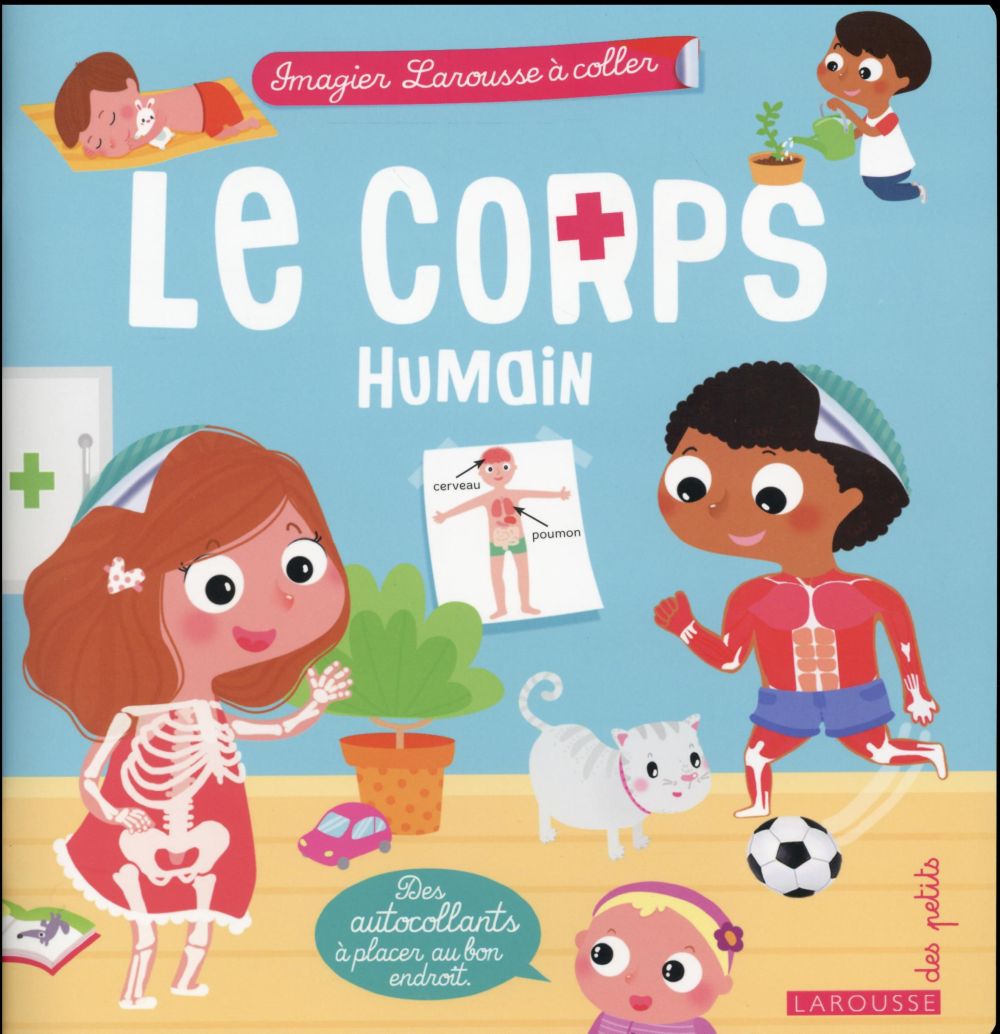 Le corps humain