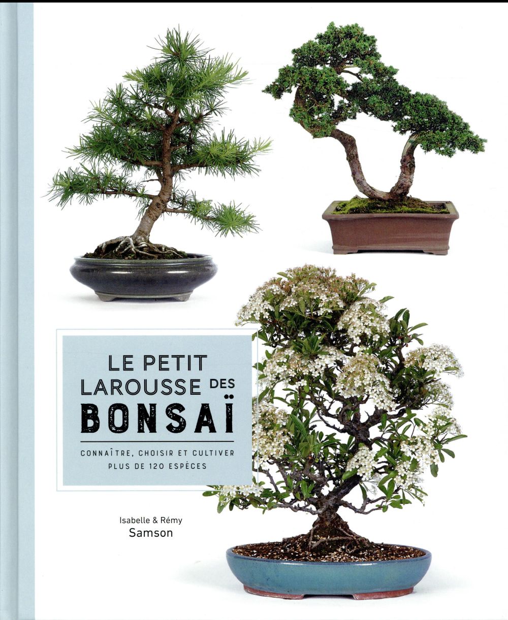 Le petit larousse des bonsaï