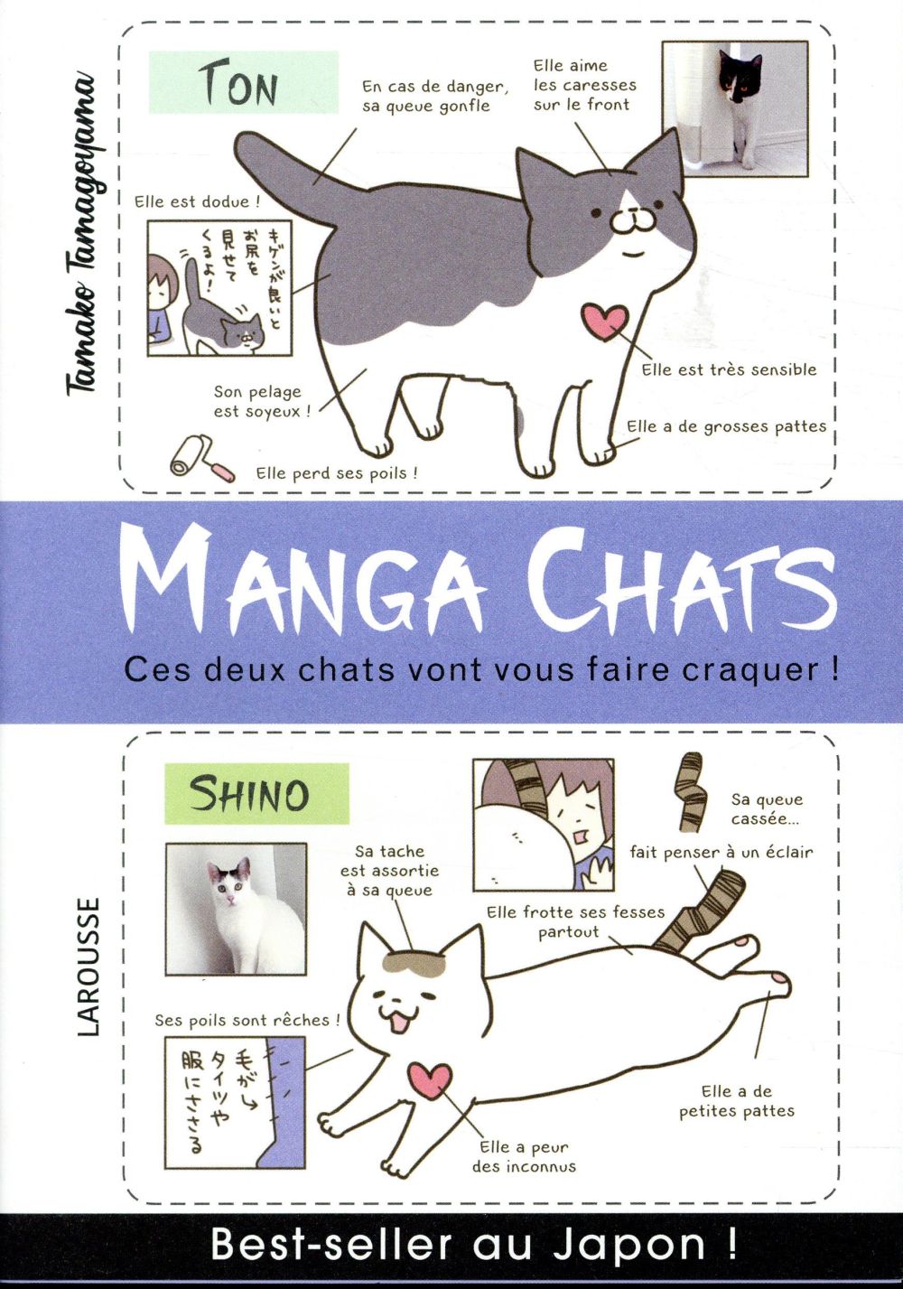 Manga chats