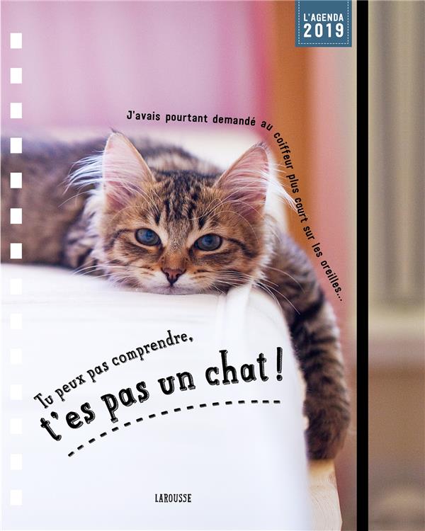 Tu peux pas comprendre t'es pas un chat : Agenda