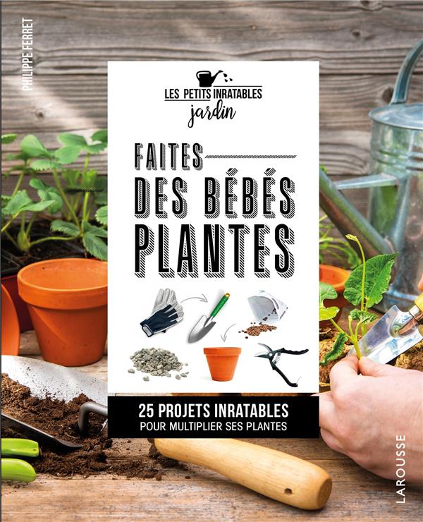 Les petits inratables : faites des bébés plantes !