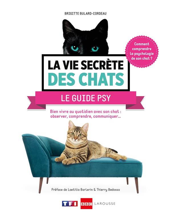 La vie secrète des chats ; le guide psy