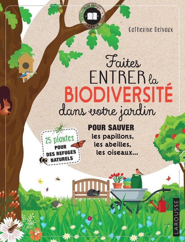 Faites entrer la biodiversité dans votre jardin ; pour sauver les papillons, les abeilles, les oiseaux...