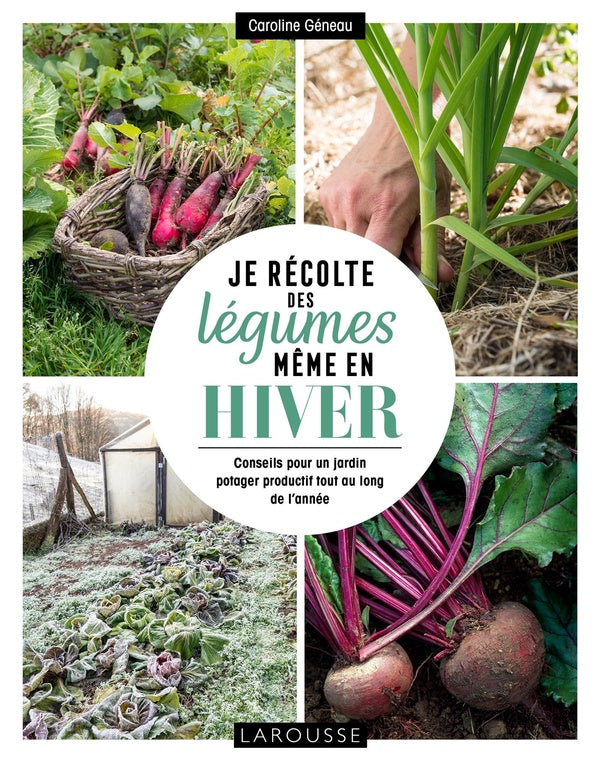 Je récolte des légumes, même en hiver ; conseils pour un jardin potager productif tout au long de l'année