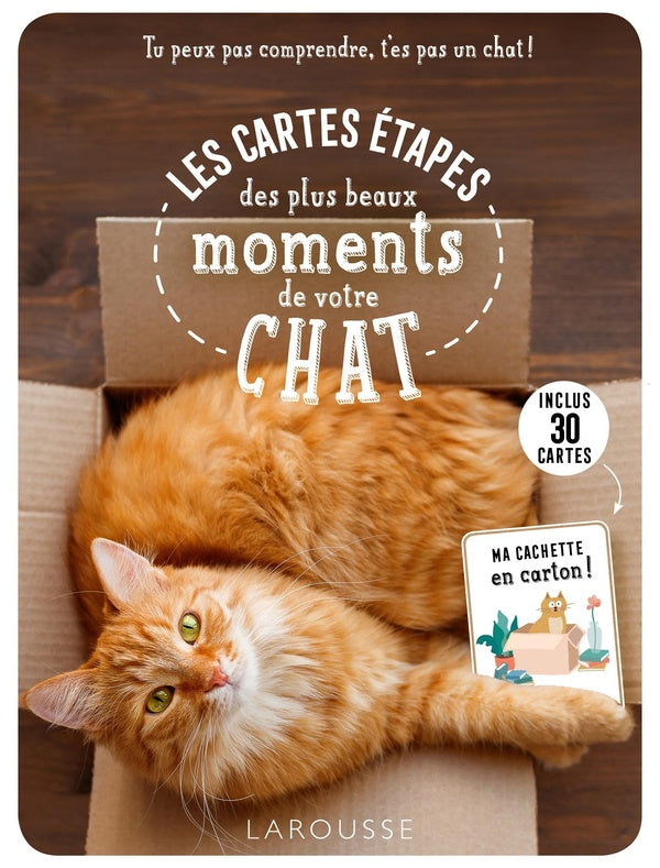 Tu peux pas comprendre, t'es pas un chat ! ; les cartes étapes des plus beaux moments de votre chat