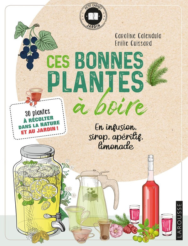 Ces bonnes plantes à boire ; 30 plantes à récolter dans la nature et au jardin !