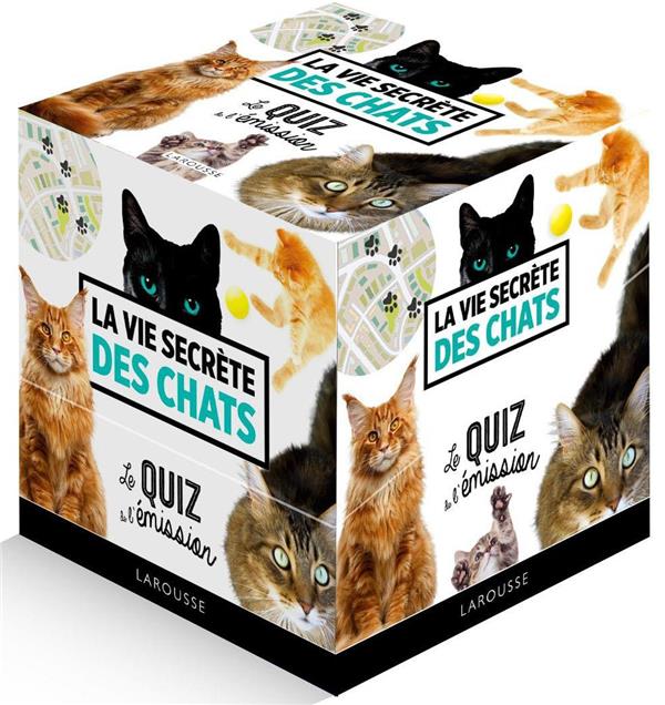 La vie secrète des chats : le quiz de l'émission