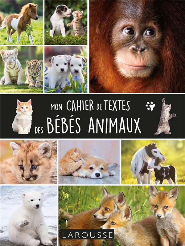 Mon cahier de textes bébés animaux