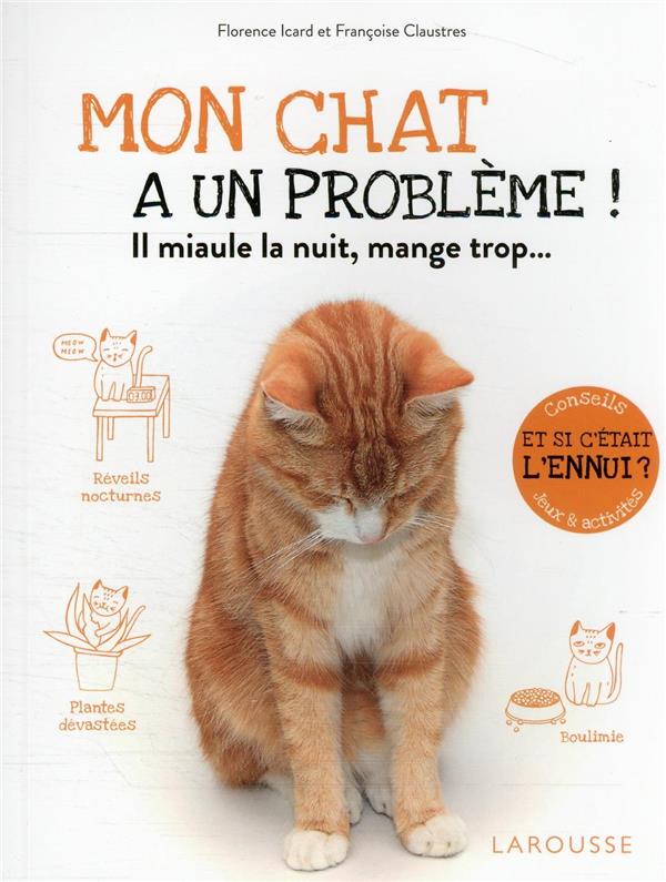 Mon chat a un problème ! il miaule la nuit, mange trop...