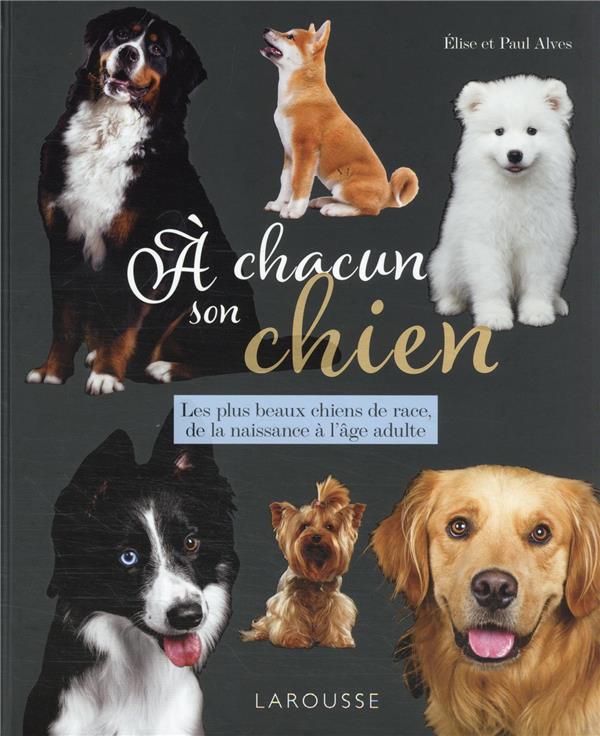 à chacun son chien : les plus beaux chiens de race, de la naissance à l'âge adulte