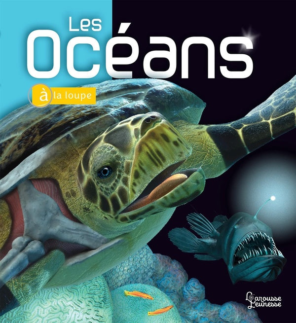 Les océans à la loupe