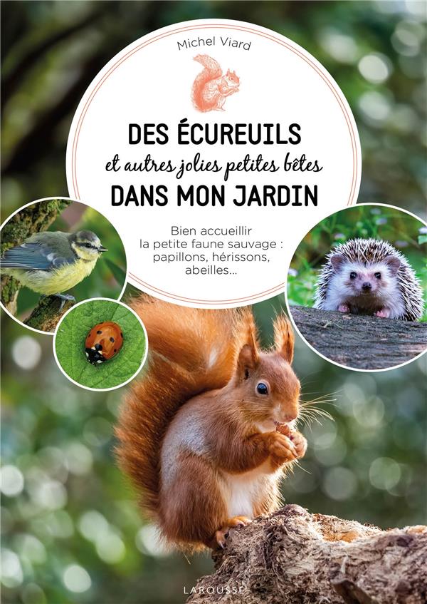 Des écureuils et autres jolies petites bêtes dans mon jardin : Bien accueillir la petite faune sauvage : papillons, hérissons, abeilles...