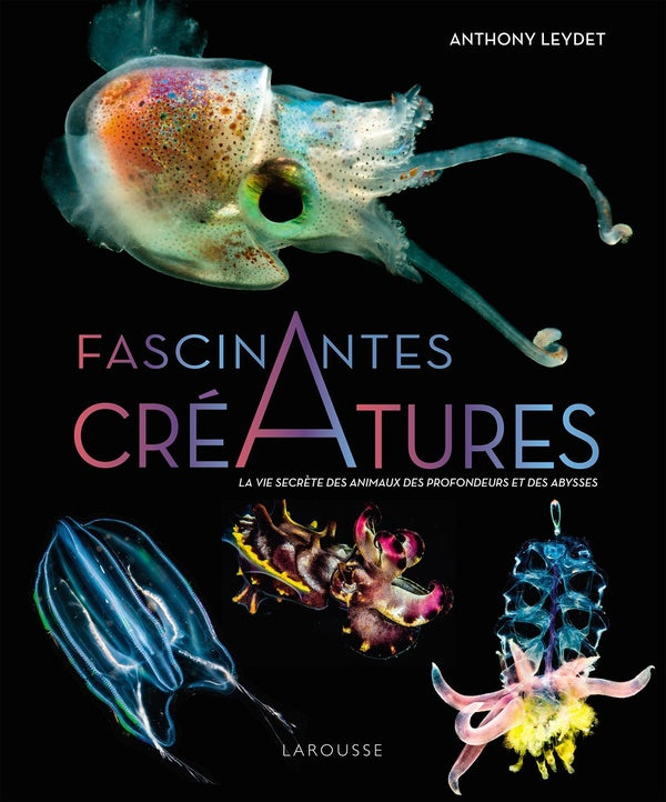 Fascinantes créatures : La vie secrète des animaux des profondeurs et des abysses