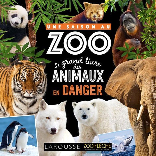 Une saison au zoo : Le grand livre des animaux en danger